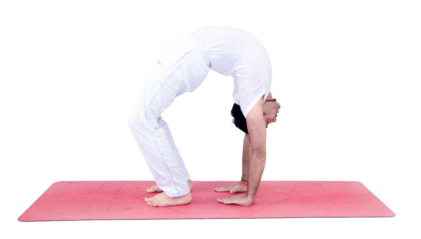 Lợi ích của tư thế bánh xe trong yoga