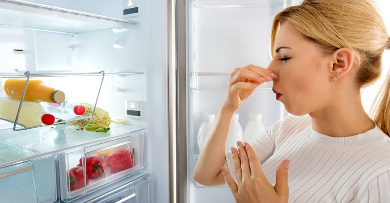 Tủ lạnh lâu ngày không được vệ sinh nên vi khuẩn và nấm mốc phát triển